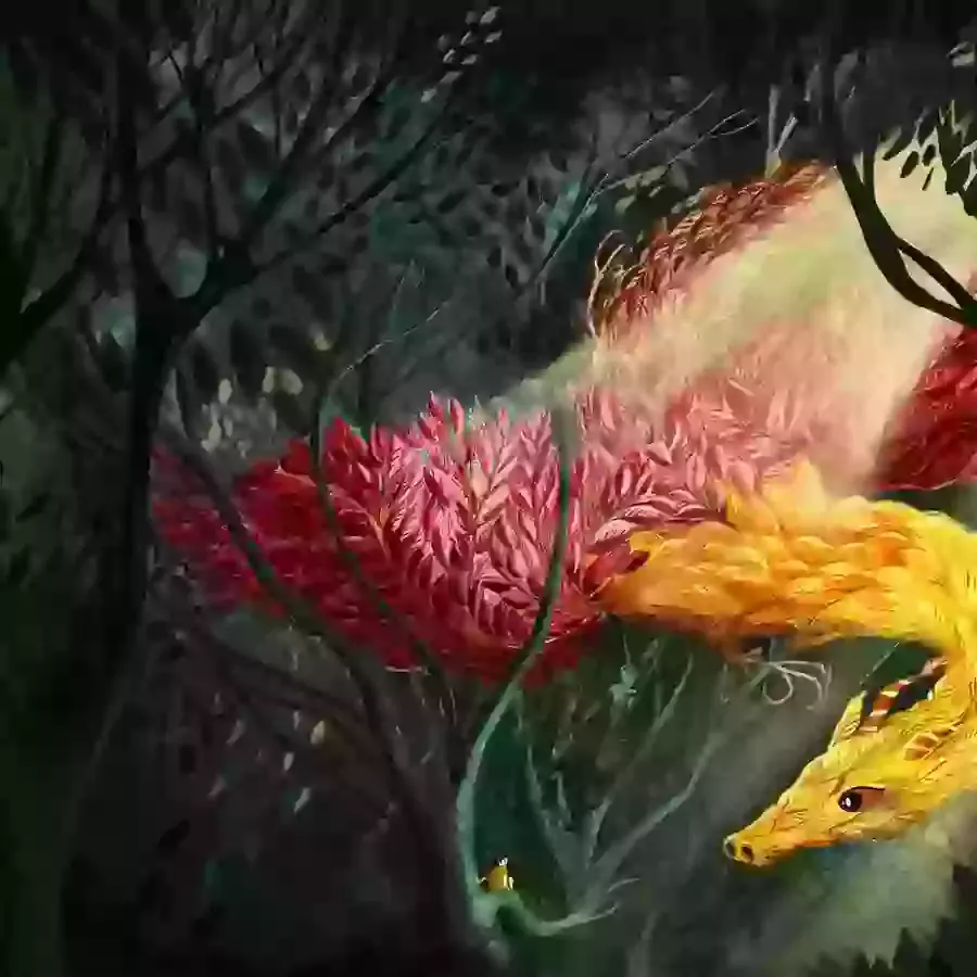 Colour Illustrations